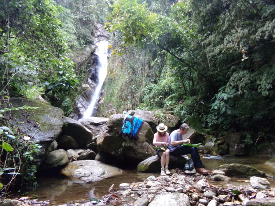 Medellín: Nature Experience & Waterfall-Hike - Following the river through cloud forest