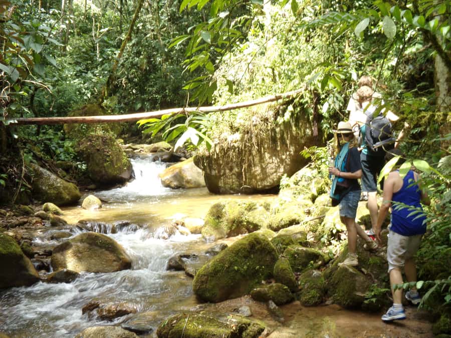 Medellín: Nature Experience & Waterfall-Hike - What the private format changes