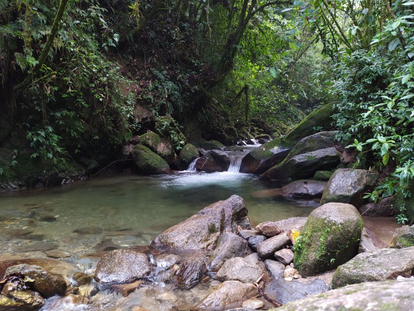 Medellín: Nature Experience & Waterfall-Hike - What to pack for the river route