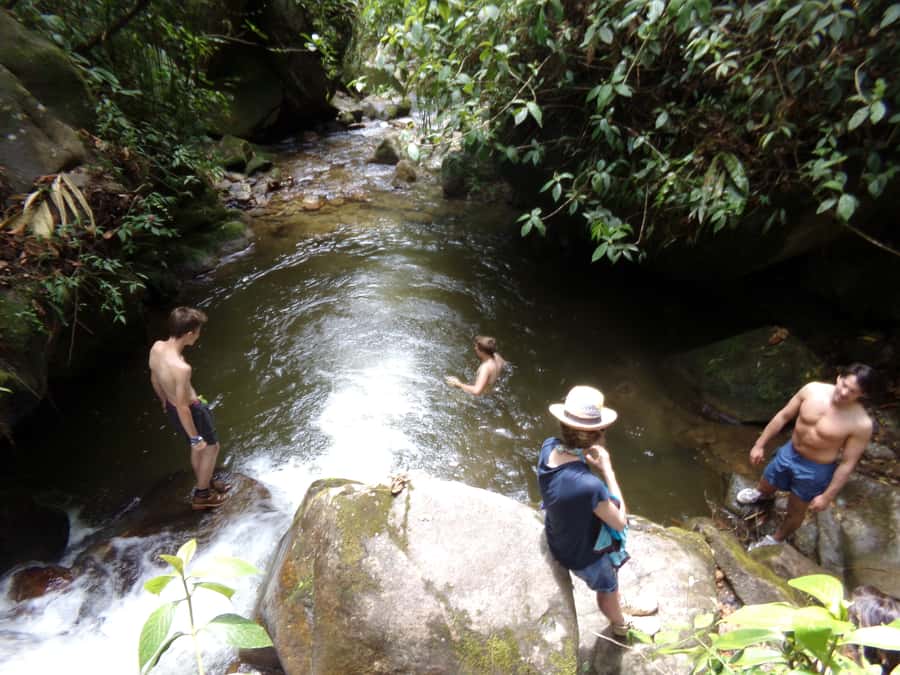 Medellín: Nature Experience & Waterfall-Hike - Value, flexibility, and practical limits