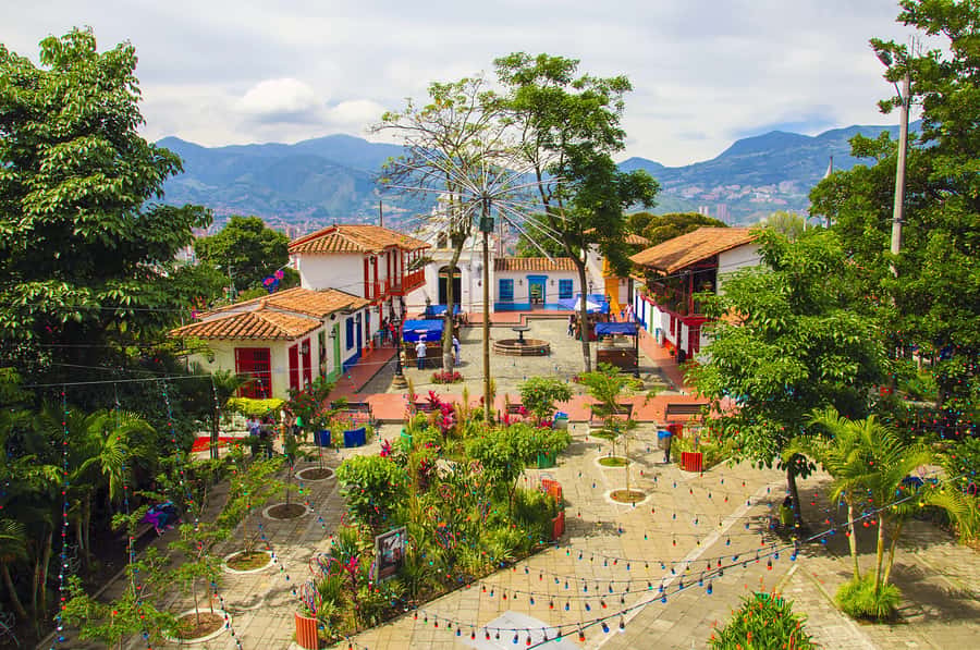 Medellín: Private City Tour with Metrocable and Comuna 13 - How the private format changes the day