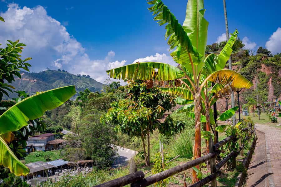 Medellín: Private Guatapé Tour w/ Breakfast, Lunch & Cruise - How the private guide changes the day