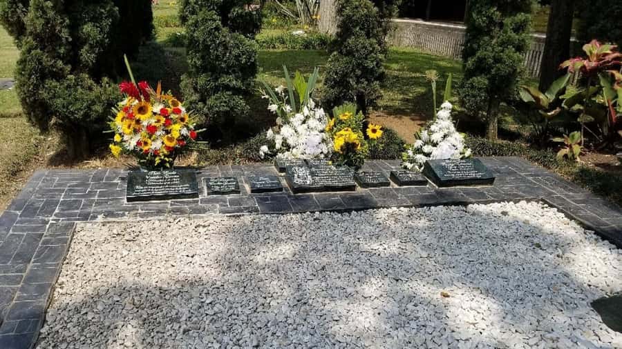 Medellín: Private Pablo Escobar and Comuna 13 Tour - Who should book this tour?