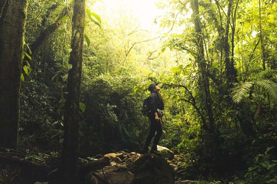 Medellín: Secret Waterfall Hike Tour with Snack and Coffee - Why the waterfall is worth the effort