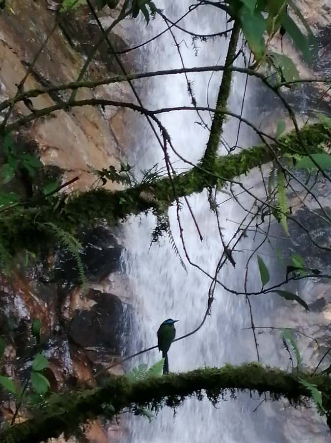 Medellín: Secret Waterfall Hike Tour with Snack and Coffee - The return walk and what four hours really means