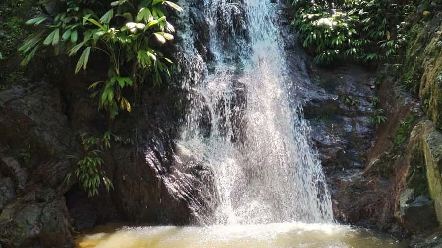 Minca: Hidden Waterfall + Coffee and Cocoa Workshop - At a Glance