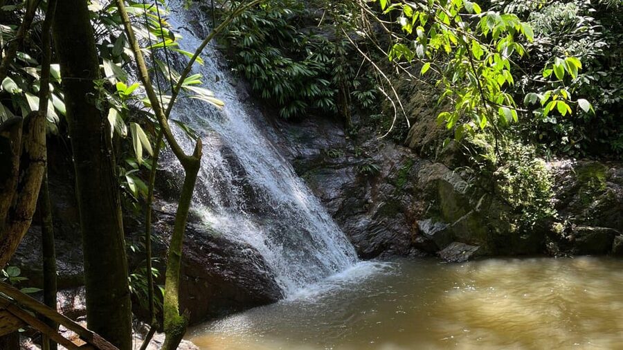 Minca: Hidden Waterfall + Coffee and Cocoa Workshop - Reaching Cascada Escondida