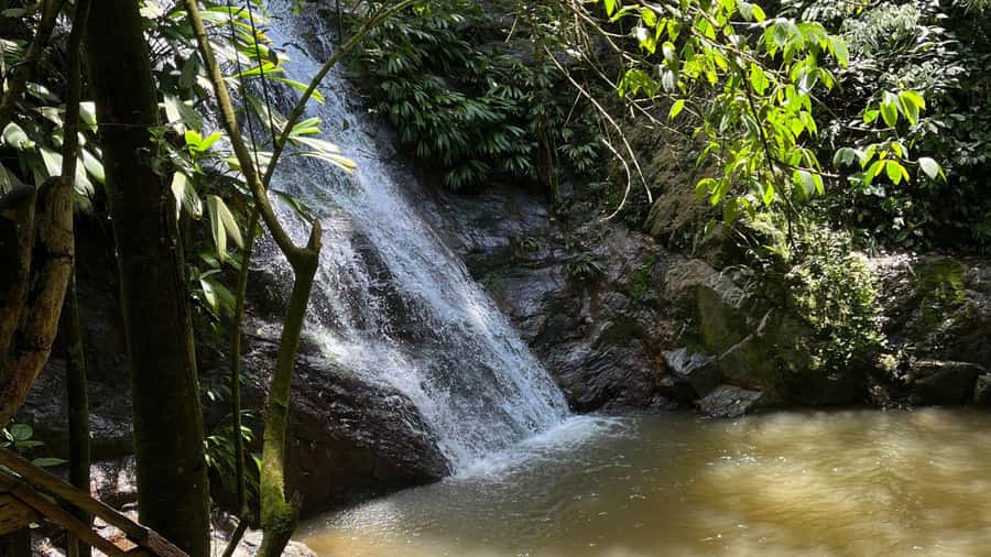 Minca: Hidden Waterfall + Coffee and Cocoa Workshop - What to Bring for the Day