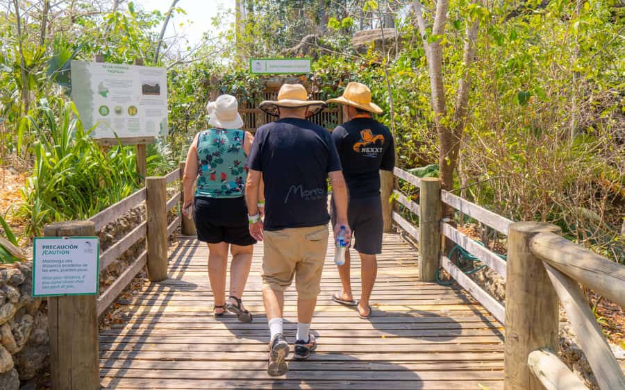 National Aviary and Playa Blanca Plankton Full-Day Tour - Why the plankton makes the long day worthwhile