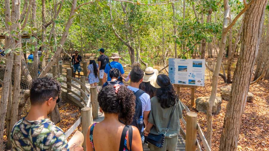 National Aviary and Playa Blanca Plankton Full-Day Tour - Four hours at Mambo Beach Club