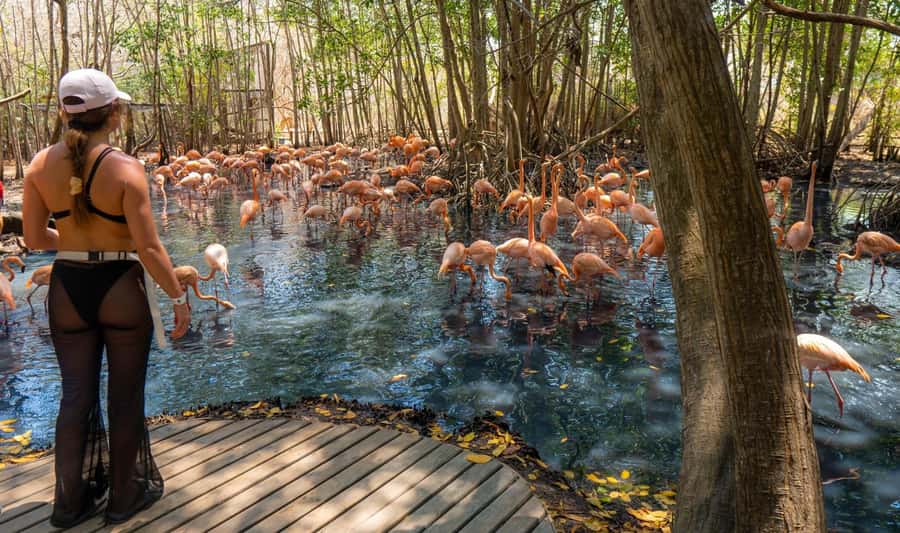National Aviary and Playa Blanca Plankton Full-Day Tour - Small details that make the day easier