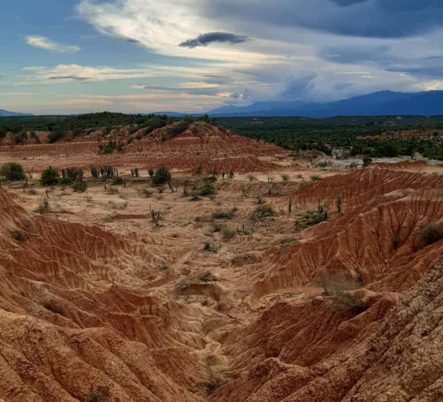 Neiva: Guided Day Trip to the Tatacoa Desert with Lunch - Key points to know before you book