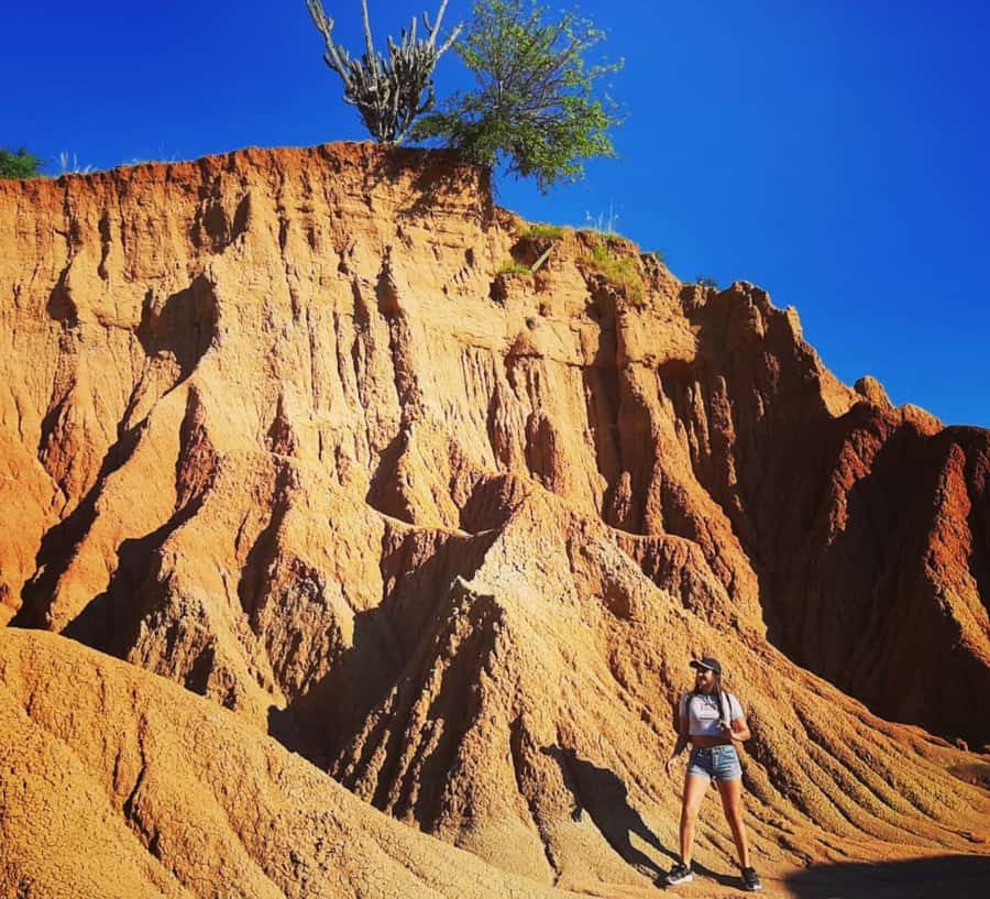 Neiva: Guided Day Trip to the Tatacoa Desert with Lunch - Why this Tatacoa day trip is worth considering