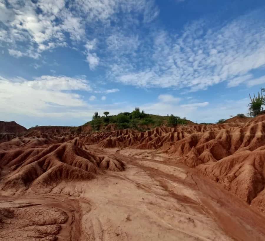 Neiva: Guided Day Trip to the Tatacoa Desert with Lunch - Leaving Neiva for Villavieja