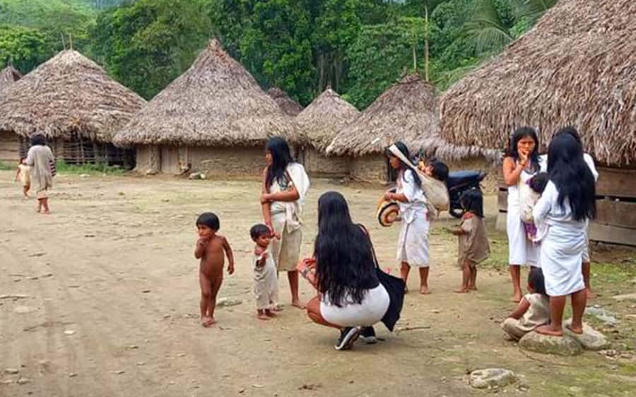 Palomino: Private Tour to Tungueka Indigenous Village - Key points to know