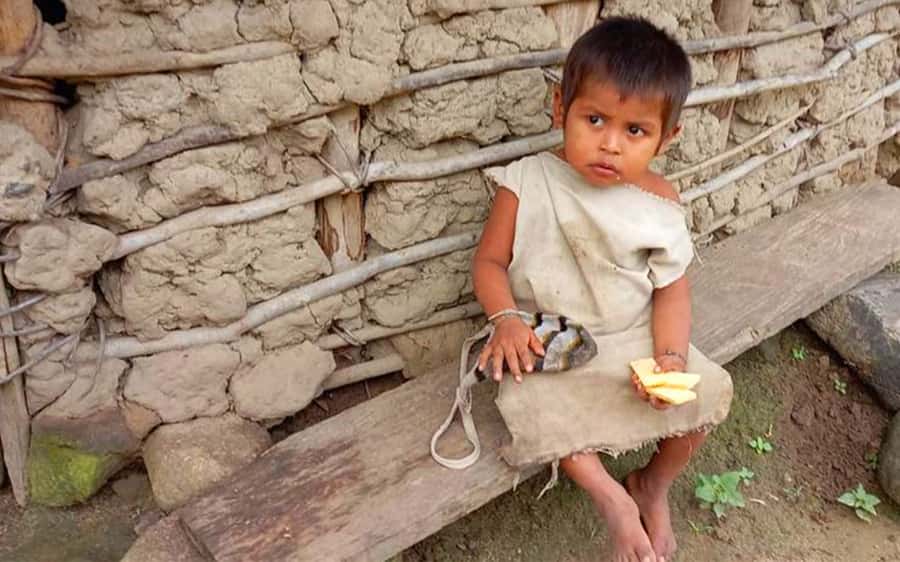 Palomino: Private Tour to Tungueka Indigenous Village - Why Tungueka gives this short tour its purpose