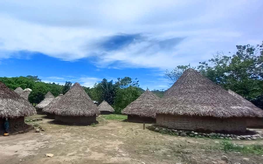 Palomino: Private Tour to Tungueka Indigenous Village - Timing, language, and practical planning