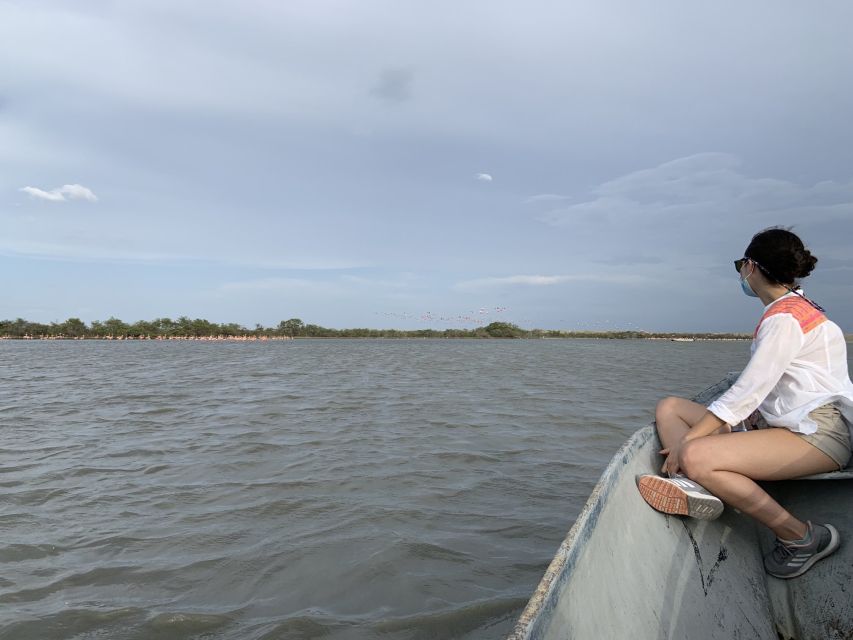 Palomino: Sanctuary of Flamingos Day Tour - Should You Book the Sanctuary of Flamingos Tour?