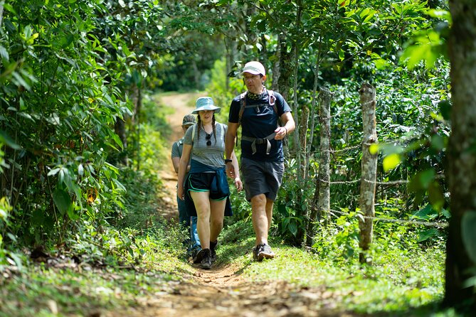 Pance Waterfalls: Hike to discover the biodiversity of the valley - Why Pance makes a good break from Cali
