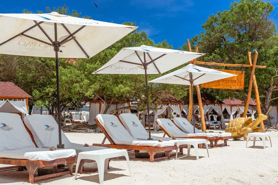 PAO PAO BEACH CLUB - The frigate tour and the bird question