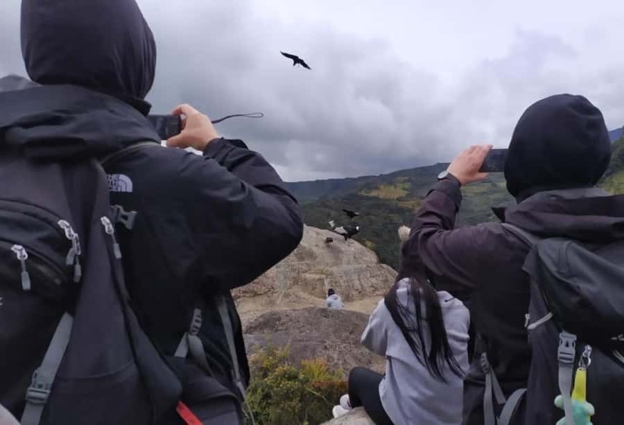 Popayan: Condor Watching in Purace + San Juan Hot Springs - Meeting the Andean condor at Condor Stone