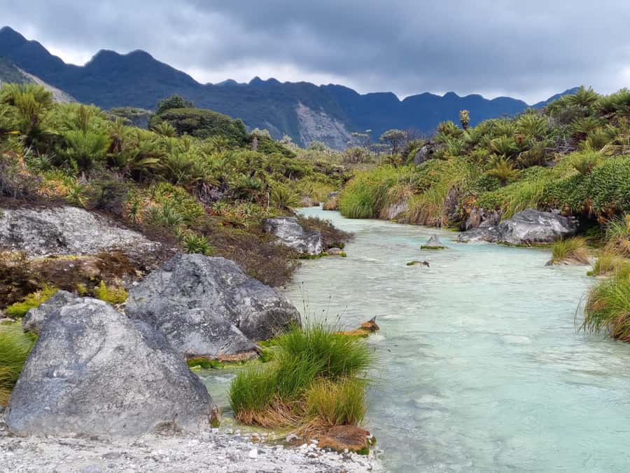 Popayan: Condor Watching in Purace + San Juan Hot Springs - Frailejones, Bedón waterfall, and Andulbio lagoon