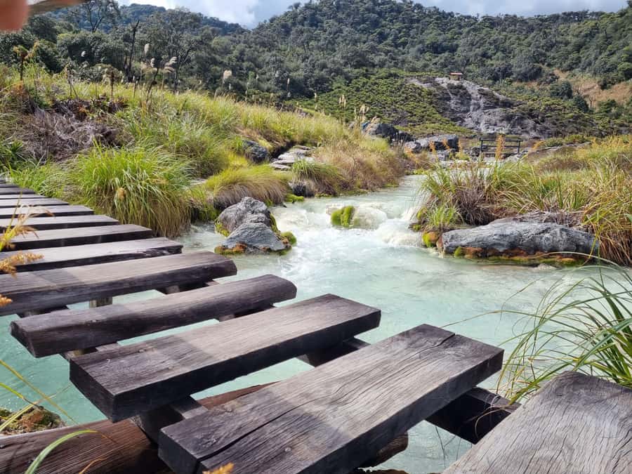 Popayan: Condor Watching in Purace + San Juan Hot Springs - Timing, comfort, and practical limits