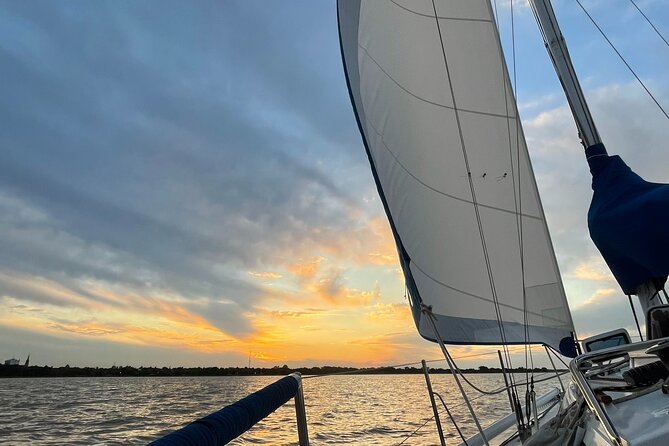 Private Boat Tour to Rio de la Plata and Delta El Tigre with Wine on Board - Why This Boat Trip Feels Different From a Standard Tigre Cruise