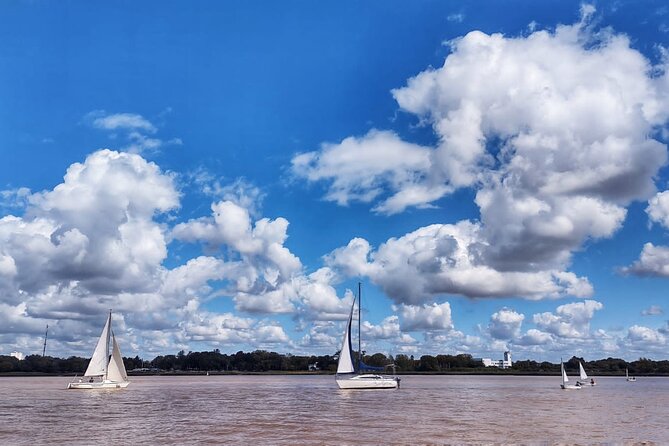Private Boat Tour to Rio de la Plata and Delta El Tigre with Wine on Board - One Hour Among the Channels of Tigre Delta