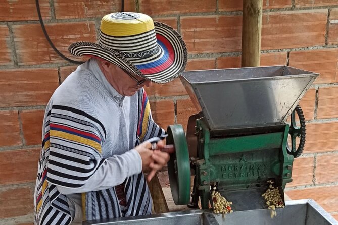 Private coffee tour near Medellín, from bean to cup. - Key points at a glance