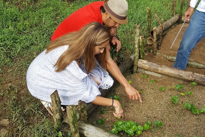 Private coffee tour near Medellín, from bean to cup. - Why this coffee tour feels different