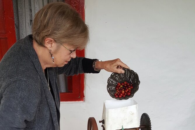Private coffee tour near Medellín, from bean to cup. - Tasting organic coffee by several methods