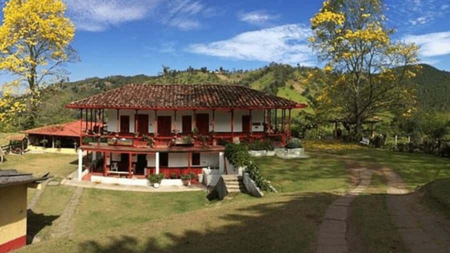 Salento and Cócora Tour + Coffee Farm from Pereira/Armenia - Key points at a glance