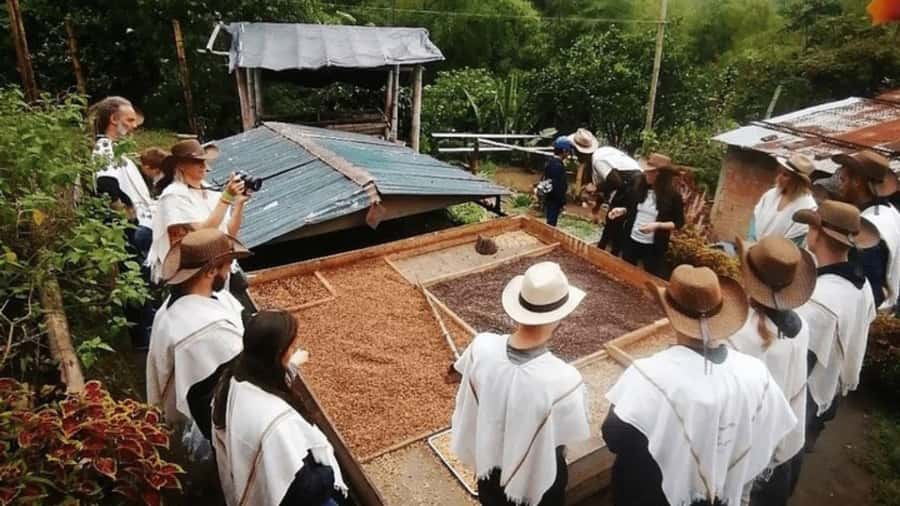 Salento and Cócora Tour + Coffee Farm from Pereira/Armenia - Why this tour works for a short Coffee Region visit