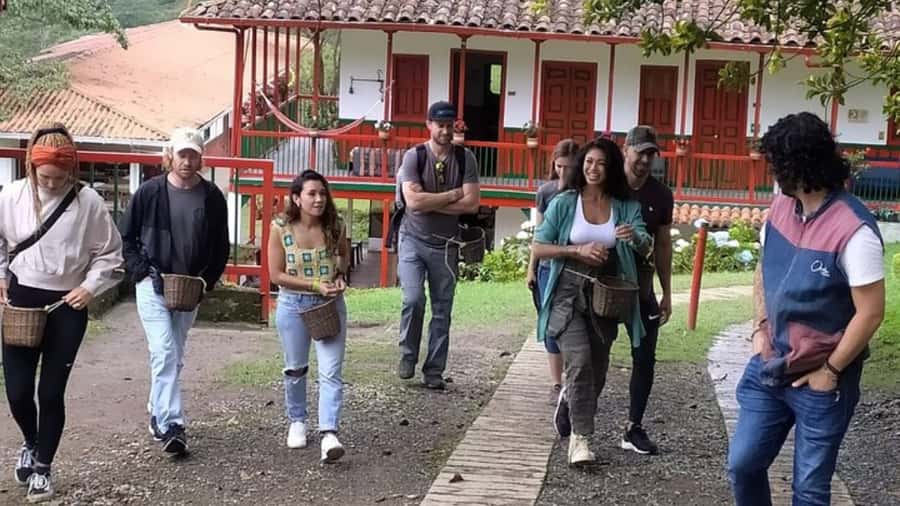 Salento and Cócora Tour + Coffee Farm from Pereira/Armenia - What to bring and how demanding the day is