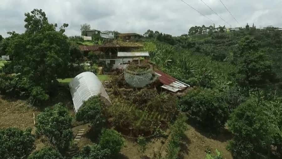 Salento and Cócora Tour + Coffee Farm from Pereira/Armenia - Pickup from Pereira or Armenia