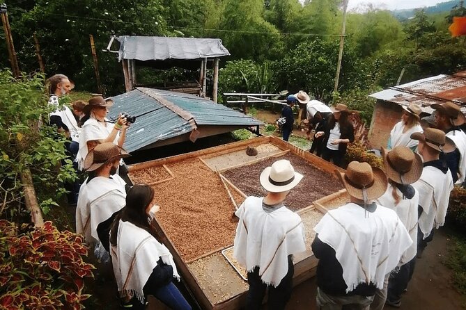 Salento and Cócora Tour plus Coffee Farm from Pereira or Armenia - Why Cocora Valley deserves the first look