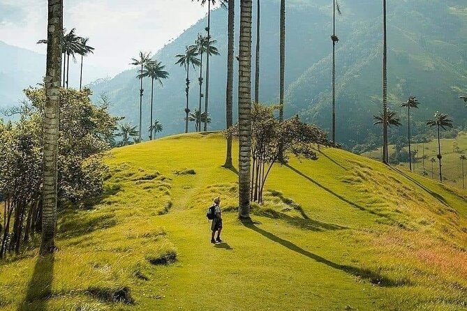 Salento, Cocora and Filandia Private Tour from Pereira or Armenia - Salento’s Royal Street and painted balconies