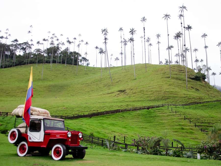 Salento, Cocora and Filandia Tour from Pereira or Armenia - Key points at a glance