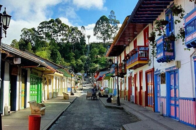 Salento, Cocora+Filand PREMIUM PLAN. exit: Pereira/Armenia. - Who will enjoy this private day most