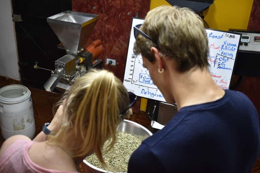 Salento: Coffee Master Roasting, Brewing and Tasting Tour - Four brewing methods, one coffee at a time