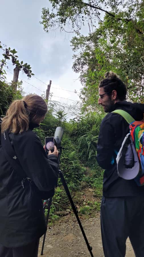 Salento: hike to learn about Birds - Why this is a good way to meet Salento’s birds