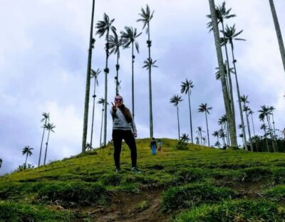 Salento/Pereira: Cocora Valley & Salento Hiking Private Tour