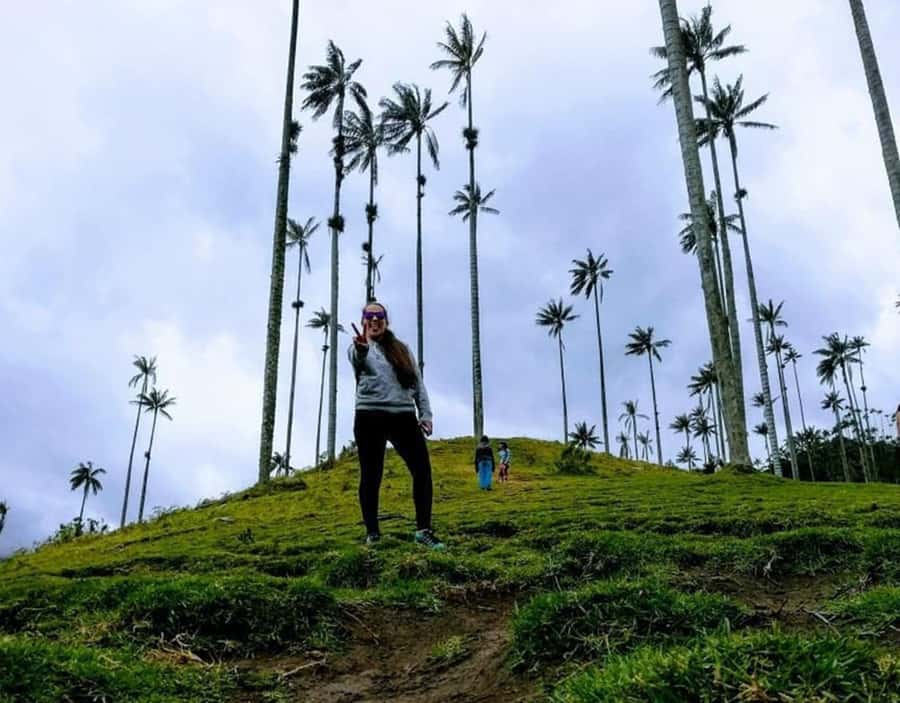 Salento/Pereira: Cocora Valley & Salento Hiking Private Tour - A six-hour route with room for questions