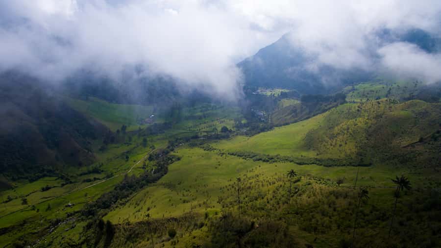 Salento: Private Cocora Valley, Salento & Coffee Farm Tour - Who should book this day?