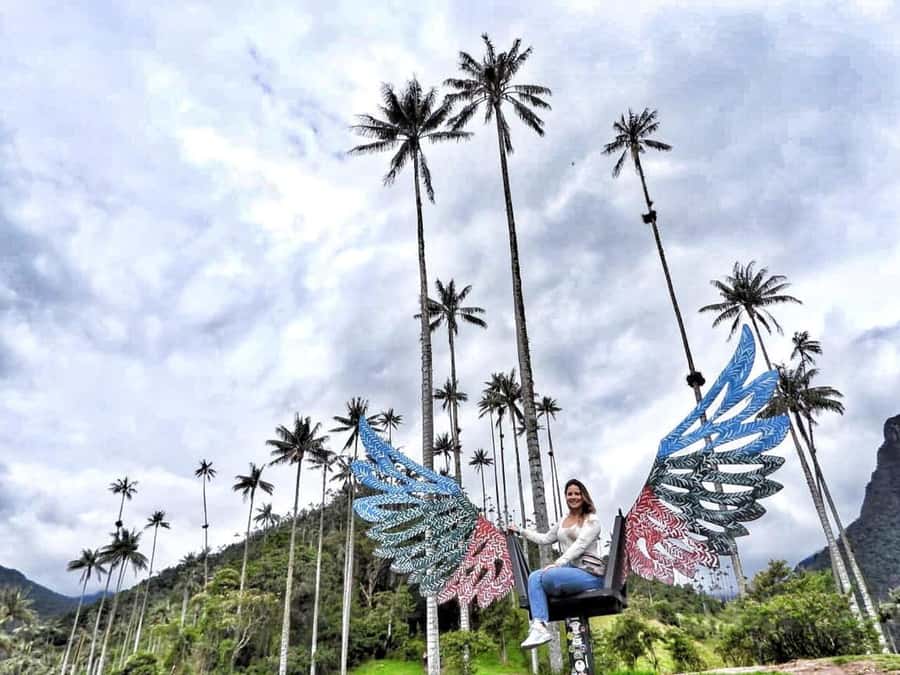 Salento: Private Cocora Valley, Salento & Coffee Farm Tour - Why this Cocora Valley and coffee pairing works