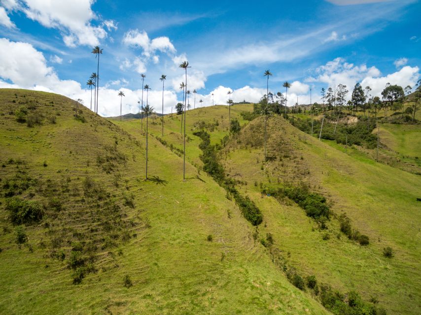 Salento: Private Cocora Valley, Salento & Coffee Farm Tour - A local lunch break in Salento