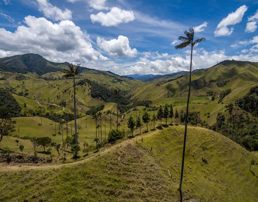 Salento: Private Cocora Valley, Salento & Coffee Farm Tour - Timing, transport, and what the $157 covers