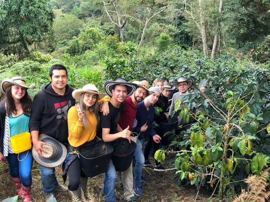 Salento: Private Cocora Valley, Salento & Coffee Farm Tour - Entering Cocora Valley among Colombia’s wax palms