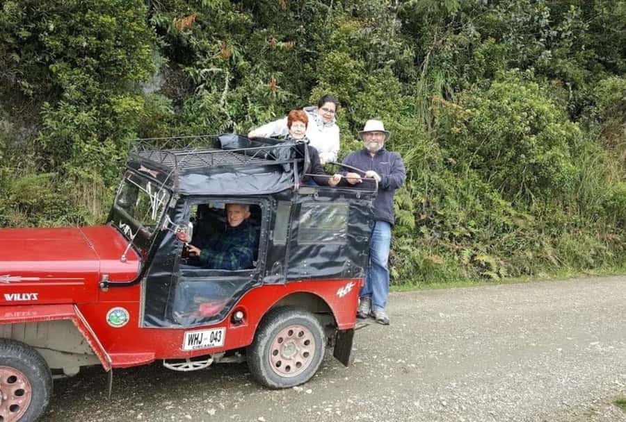 Salento: Salento & Cocora Valley Tour - The palm forest and mountain viewpoint